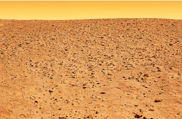 هل من الممكن زراعة الن باتات على سطح المر يخ الفلك المرام للعلوم