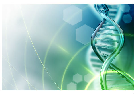 تفاصيل الحمض النّووي  DNA