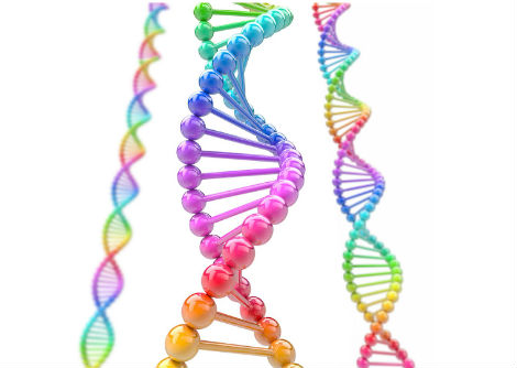 كيف يستطيع جسدك تخزين متر كامل من الحمض النووي داخل كلّ خليّة؟