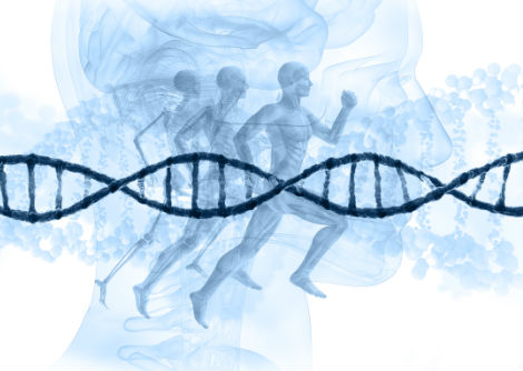 طرق جديدة لتحليل وظيفة الجينات