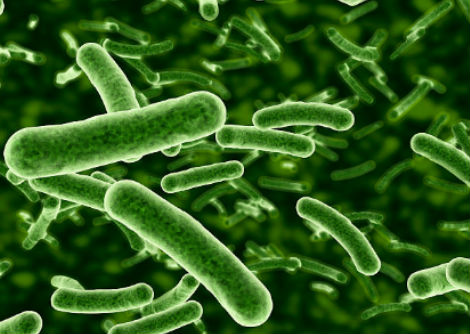 ما تفسير وجود بعض البكتيريا الّتي تساعدنا، وبعض آخر يسبّب لنا المرض؟