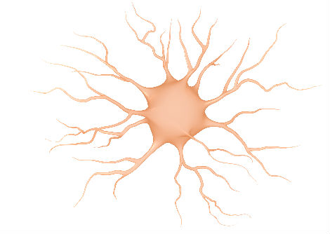 الخلايا الجذعية الجلدية لتوليد خلايا دماغيّة جديدة