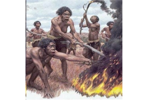 حريق خاضع للسيطرة (حوالي 1,420,000 سنة قبل الميلاد)