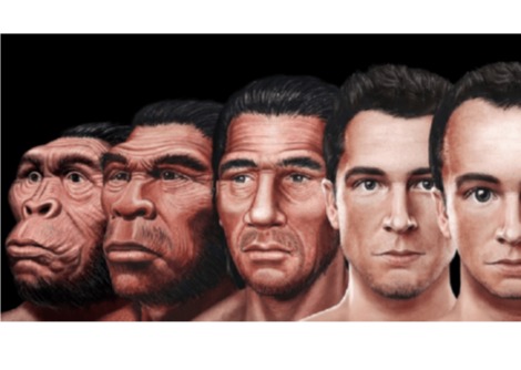 كيف يمكن أن يبدو الوجه البشري خلال 100,000 عام