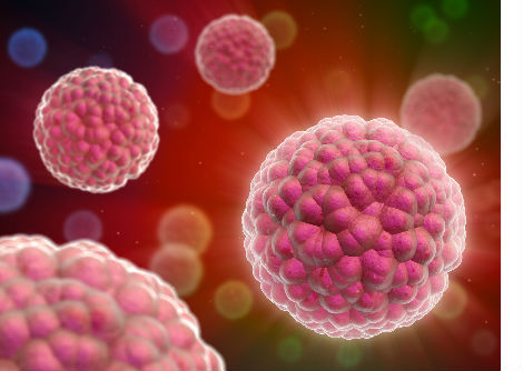 اكتشاف كيفية تهرب الخلايا السرطانية من الدفاعات المناعية يُلهم باتباع نهج علاجي جديد