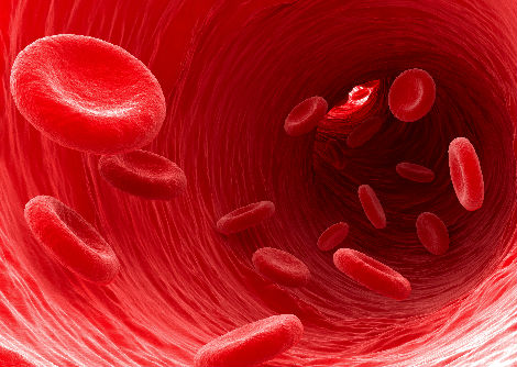 الكشف عن الشيفرة الجينيّة في خلايا الدمّ الحمراء