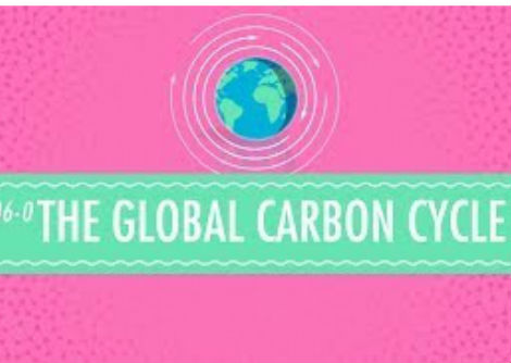 دورة الكربون الكاملة