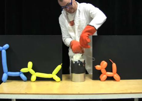 تجربة فيزيائية - بالونات في نيتروجين سائل