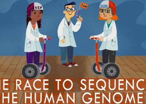 السباق لتسلسل الجينوم البشري - تيان نجوين