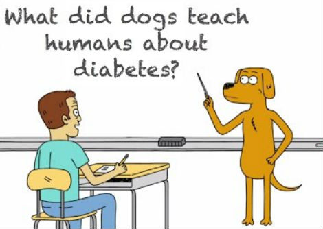 ماذا تعلم البشر من الكلاب عن مرض السكري - دنكان جيم فيرغسون