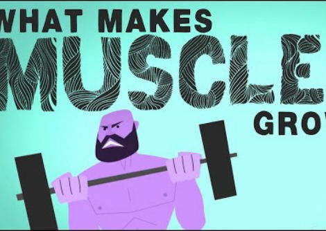 ما الذي يجعل العضلات تنمو - جيفري سيجل