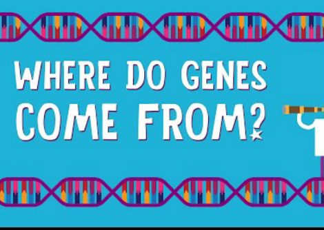 من أين تأتي الجينات  