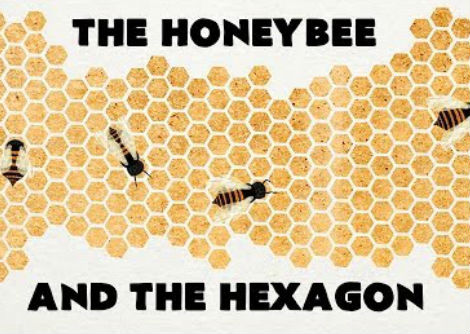 لماذا نحل العسل يحب المسدس - زاك باترسون واندي بيترسون