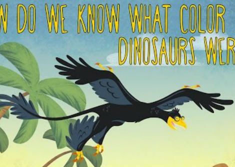 كيف لنا أن نعرف ما كان لون الديناصورات  - لين بلوخ