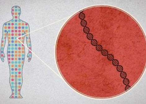 كيف تسل الحمض النووي