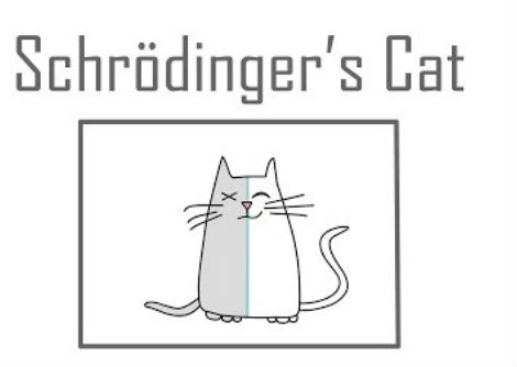 قطة شرودنغر، تجربة فكرية في ميكانيكا الكم