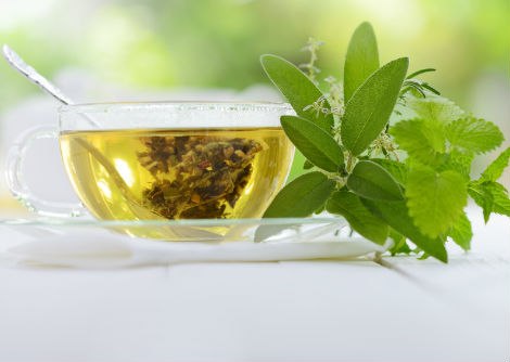 الشاي الأخضر لتحسين ضعف الذاكرة ومقاومة الأنسولين في الدماغ والبدانة