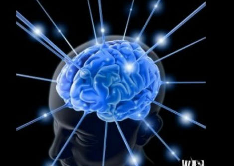 قصة العقل - رحلة الدماغ البشرى