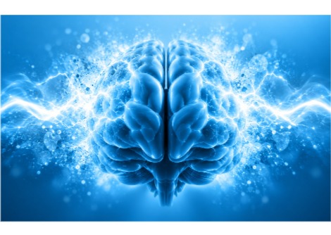 دماغك ينظّف نفسه أثناء نومك —اكتشف العلماء للتو مدى سرعة حدوث ذلك
