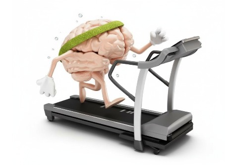 العلم وراء التمارين الرياضية والإشارات الكيميائية لصحة الدماغ