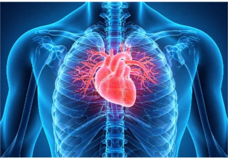 مخاطر صحية صادمة: مستويات الصوديوم 