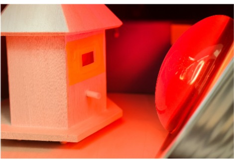 الخشب الشفاف المصنوع من الأرز وبياض البيض يمكن أن يحل محل النوافذ