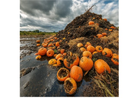 يمكن إنتاج الهيدروجين الخالي من الكربون من نفايات المزرعة