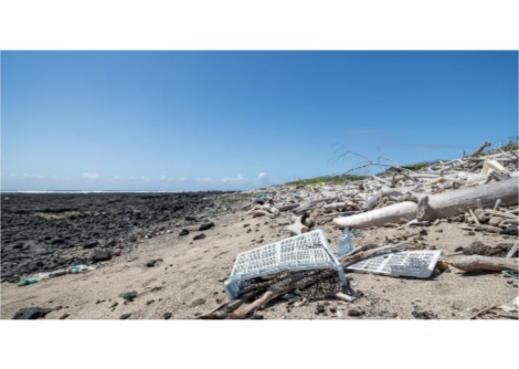 خلال ملايين السنين، ما الذي يمكن أن تتعلمه الحضارة المستقبلية عنا؟