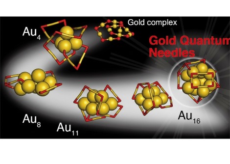 علماء يزرعون 