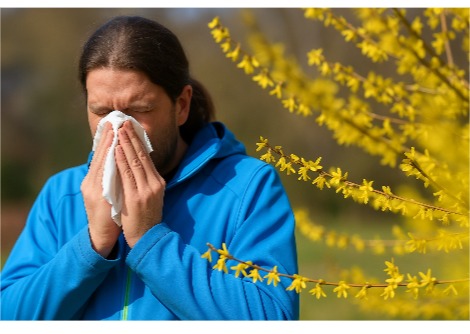 لماذا تُعتبر بعض المدن أسوأ من غيرها من حيث انتشار الحساسية؟