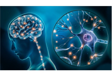 علاج واعد لعلاج الاضطراب الوراثي القاتل