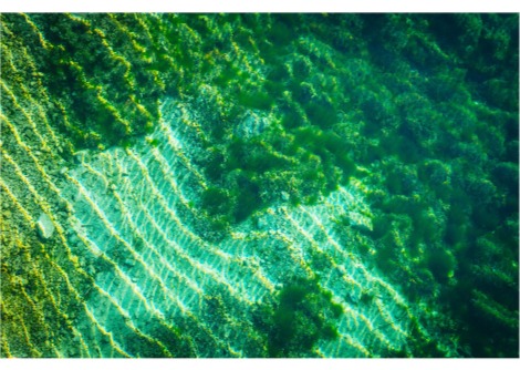 كيف شكلت دورات الأرض المبكرة كيمياء الحياة