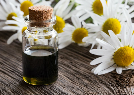 آلية عمل العطور