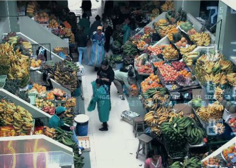 البحوث في فرع الرياضيات والعلوم الفيزيائية