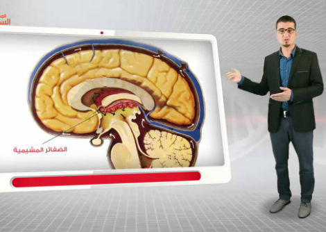 2- النسيج العصبي - الجزء الثاني - الثالث الثانوي