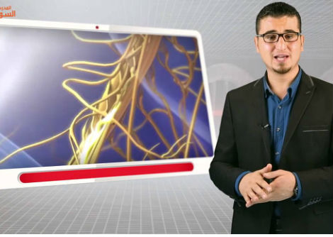 7- الجهاز العصبي المركزي - الجزء الثاني - الثالث الثانوي