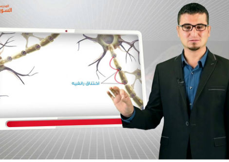 13 - خصيصة النقل في الأعصاب - الجزء الأول - الثالث الثانوي