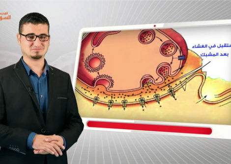 14- خصيصة النقل في الأعصاب - الجزء الثاني - الثالث الثانوي