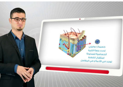 17 - المستقبلات الالية والحرارية - الثالث الثانوي