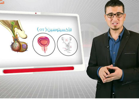 28 - جهاز الغدد الصم - الجزء الثاني - الثالث الثانوي