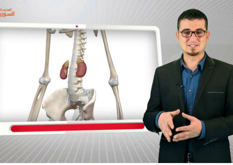 29 - الغدة الدرقية - الغدة الكظرية - الثالث الثانوي