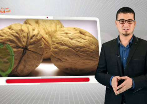 43 - التكاثر الجنسي لدى النباتات الوعائية الزهرية-مغلفات البذور - الثالث الثانوي