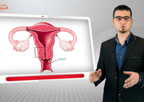 44 - التكاثر الجنسي لدى الإنسان -الجهازالتكاثري الذكري - الثالث الثانوي