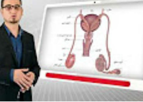 46 -الجهاز التكاثر الذكري- الثالث الثانوي 