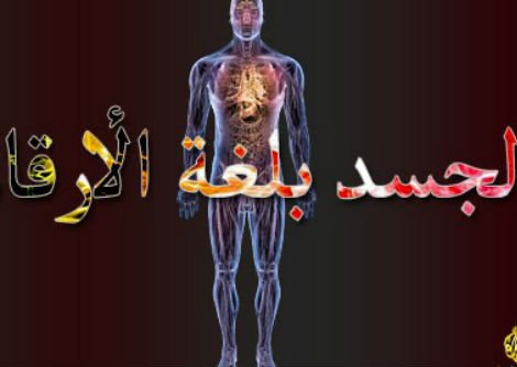  الجسد بلغة الأرقام : حلقة 1