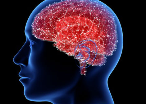 هل نستخدم %10 فقط من أدمغتنا؟