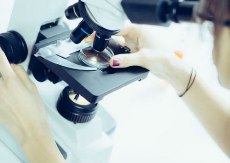 لماذا لا تهضم العصارة الهضميّة المعدة؟