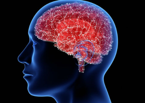 ما هي سعة ذاكرة الإنسان؟